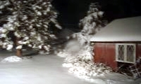 Pastor's Pen - February 11, 2008