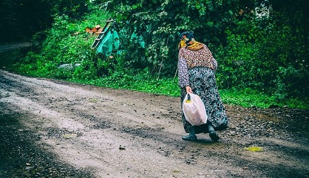 Pathways Through Paul Daily Devotional