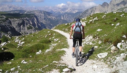 Pathways Through Paul Daily Devotional