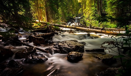 Pathways Through Paul Daily Devotional