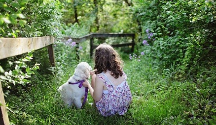 Pathways Through Paul Daily Devotional