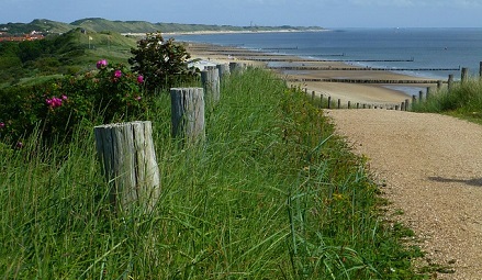 Pathways Through Paul Daily Devotional