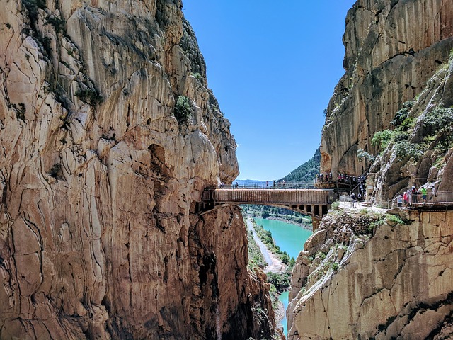 Pathways Through Paul Daily Devotional