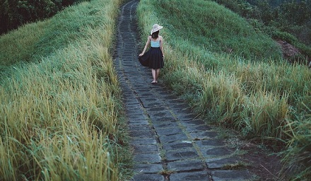 Pathways Through Paul Daily Devotional