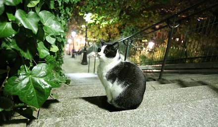 Pathways Through Paul Daily Devotional