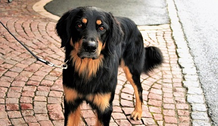 Pathways Through Paul Daily Devotional