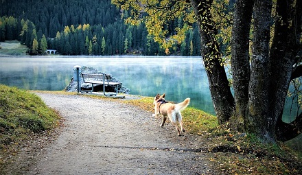 Pathways Through Paul Daily Devotional