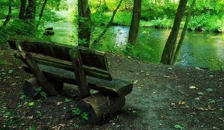 Pathways Through Paul Daily Devotional