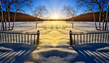 Pathways Through Paul Daily Devotional