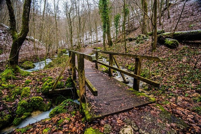 Pathways Through Paul Daily Devotional