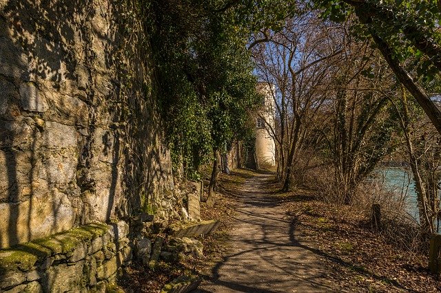 Pathways Through Paul Daily Devotional