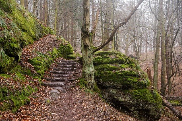 Pathways Through Paul Daily Devotional