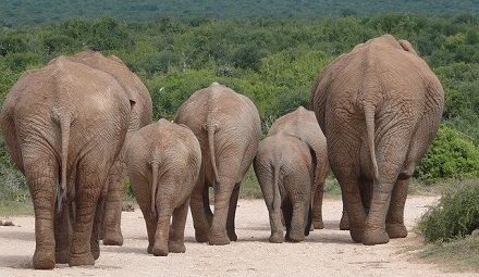 Pathways Through Paul Daily Devotional