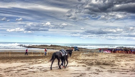 Pathways Through Paul Daily Devotional