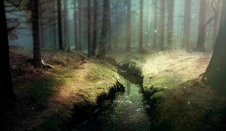 Pathways Through Paul Daily Devotional