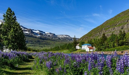 Pathways Through Paul Daily Devotional