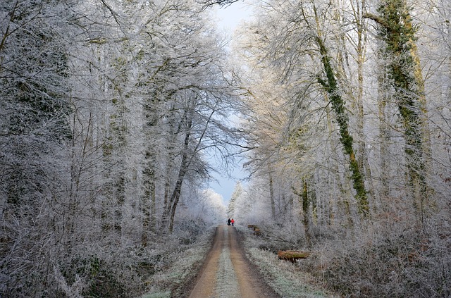 Pathways Through Paul Daily Devotional