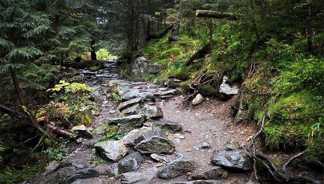Pathways Through Paul Daily Devotional