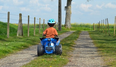 Pathways Through Paul Daily Devotional