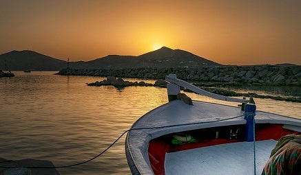 Pathways Through Paul Daily Devotional