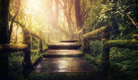 Pathways Through Paul Daily Devotional