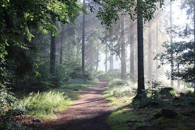 Pathways Through Paul Daily Devotional