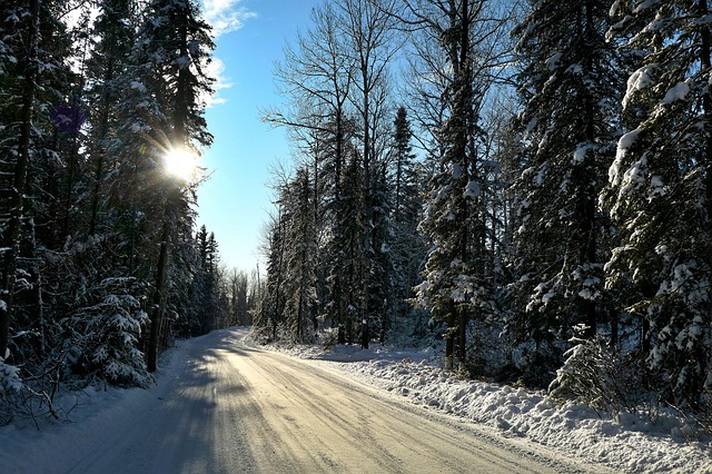 Pathways Through Paul Daily Devotional