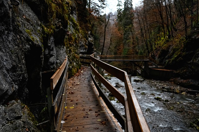 Pathways Through Paul Daily Devotional