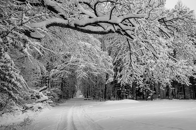 Pathways Through Paul Daily Devotional - January 6