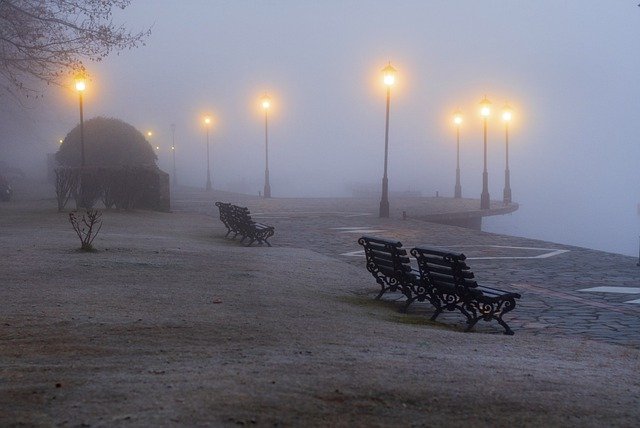 Pathways Through Paul Daily Devotional