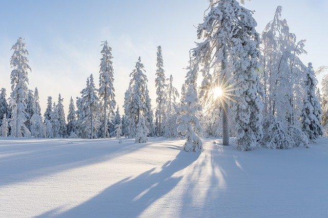 Pathways Through Paul Daily Devotional
