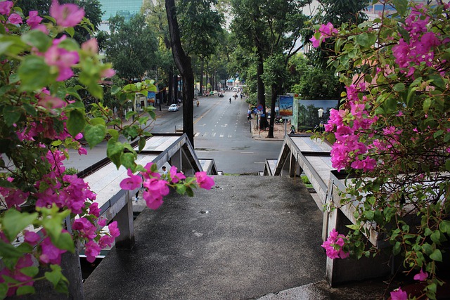 Pathways Through Paul Daily Devotional