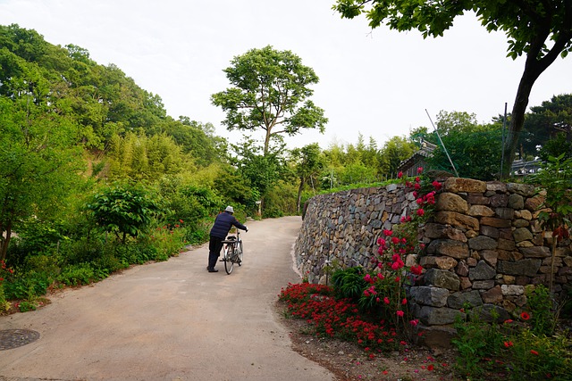 Pathways Through Paul Daily Devotional