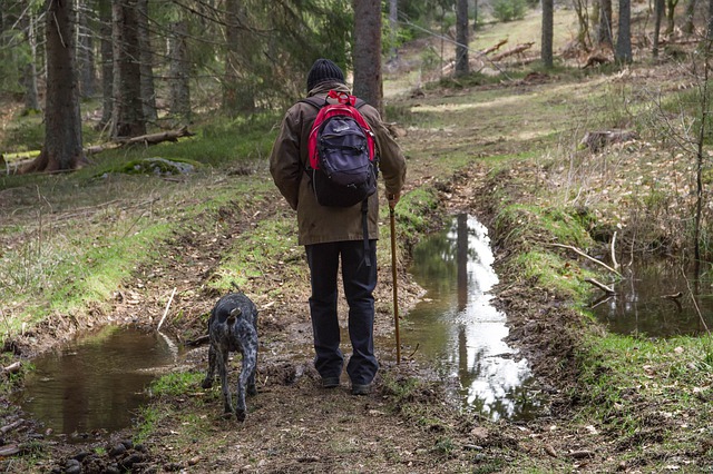 Pathways Through Paul Daily Devotional