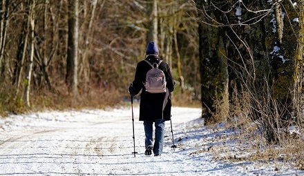 Pathways Through Paul Daily Devotional