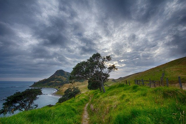 Pathways Through Paul Daily Devotional