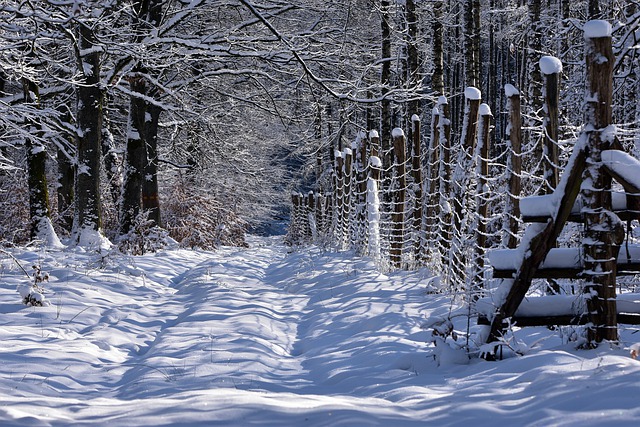 Pathways Through Paul Daily Devotional