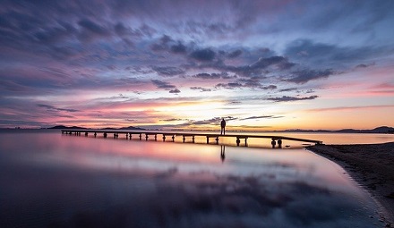 Pathways Through Paul Daily Devotional