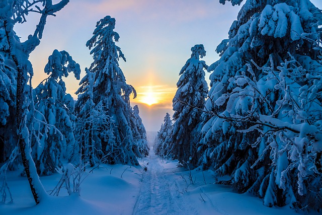 Pathways Through Paul Daily Devotional