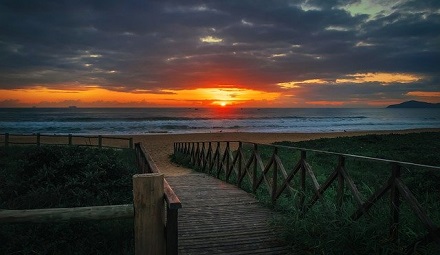 Pathways Through Paul Daily Devotional