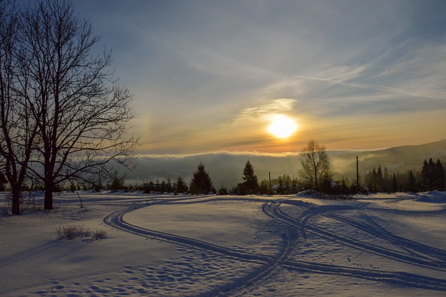 Pathways Through Paul Daily Devotional