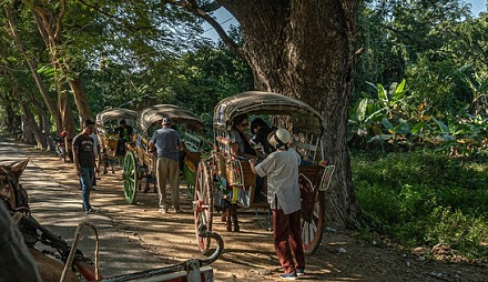 Pathways Through Paul Daily Devotional