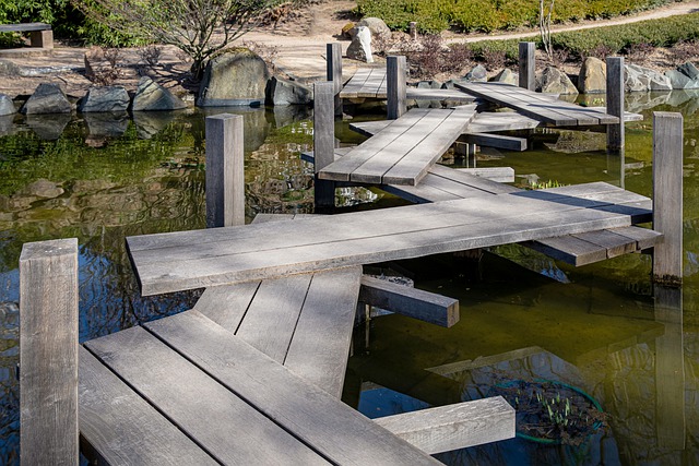 Pathways Through Paul Daily Devotional