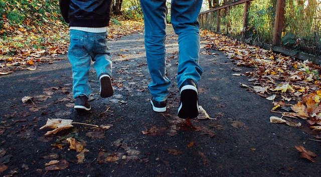 Pathways Through Paul Daily Devotional